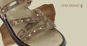 NEU: Genf Bronze